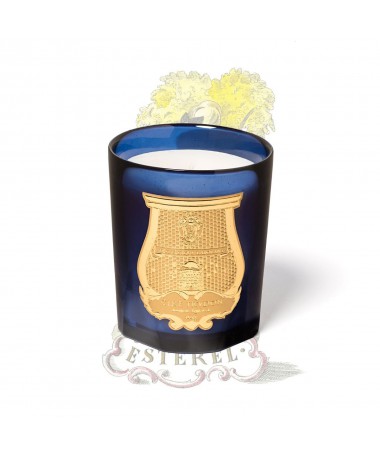 Bougie parfumée Les Belles Matières 270 g - Trudon