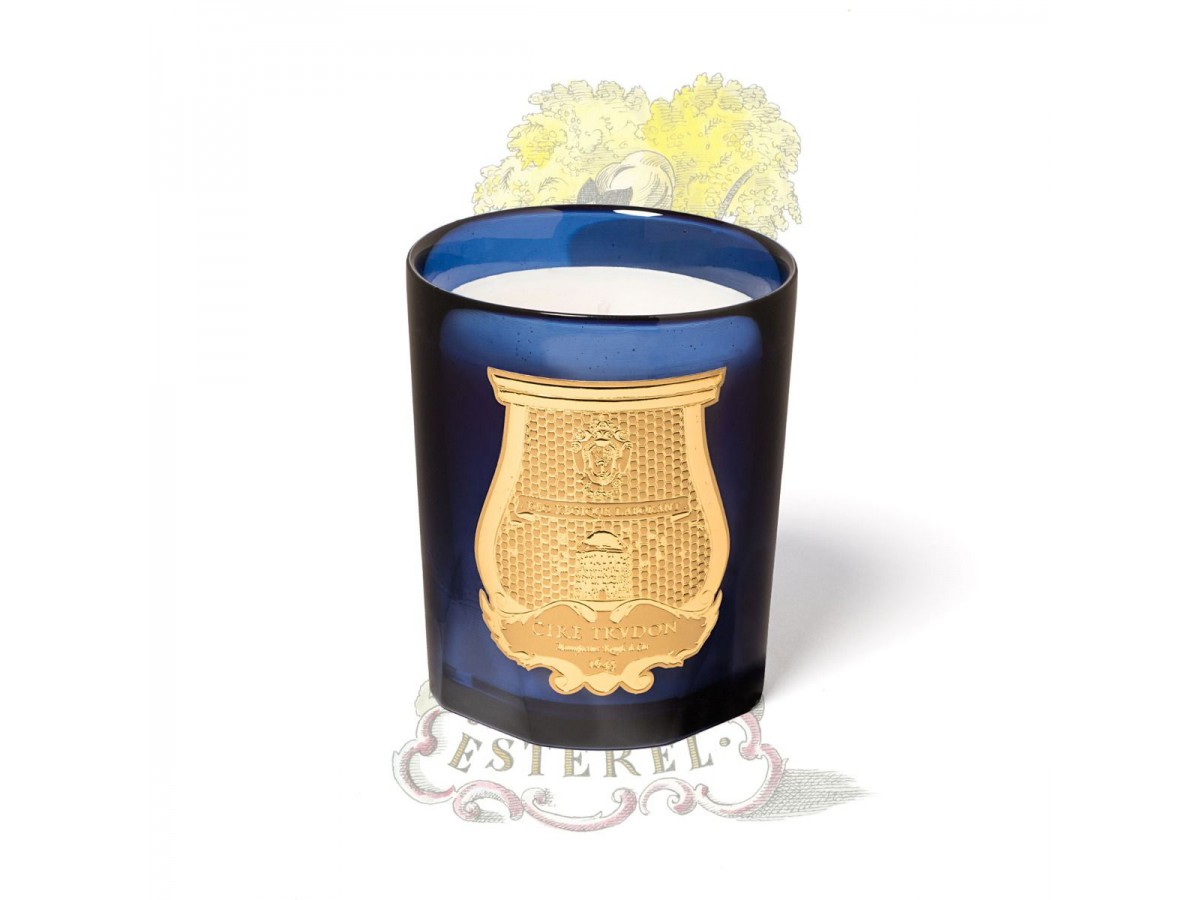 Bougie parfumée Les Belles Matières 270 g - Trudon